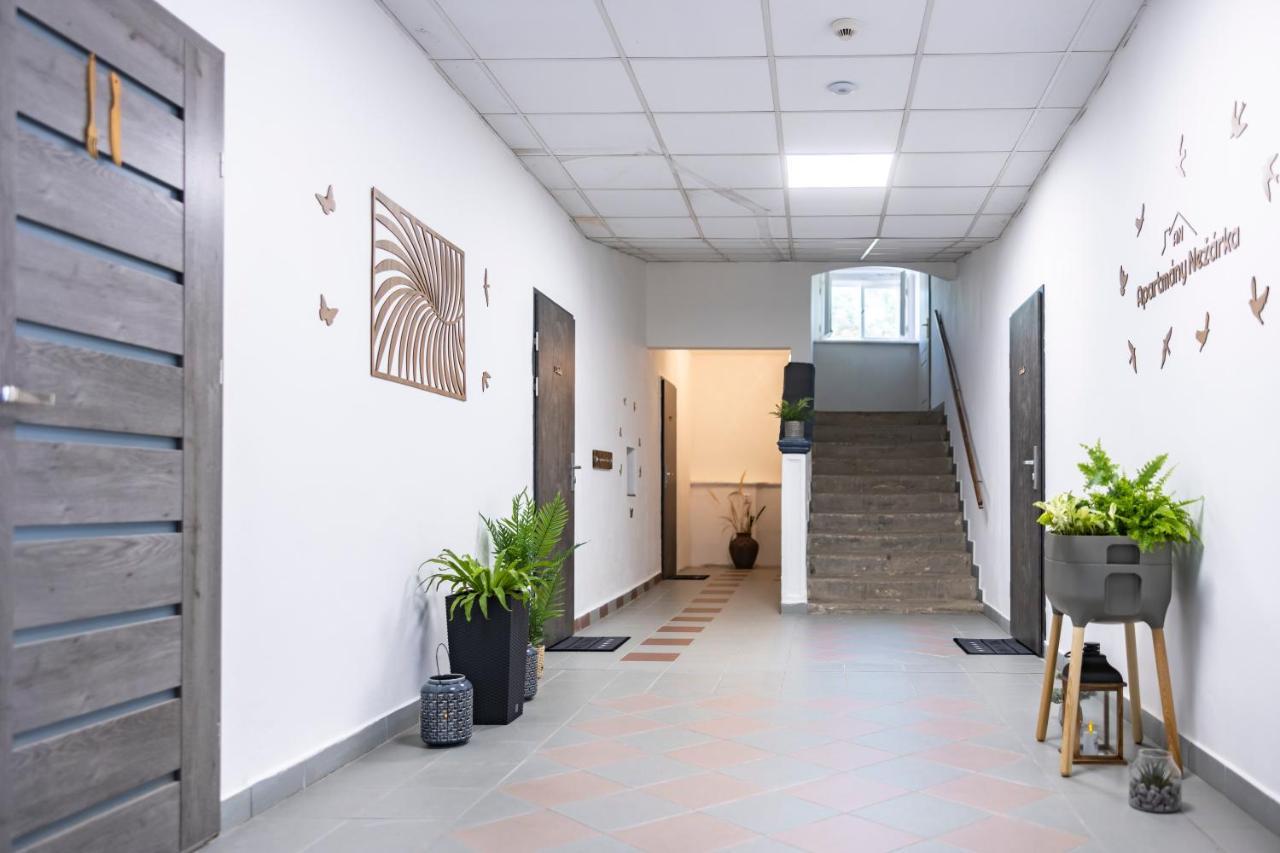 Apartmany Nezarka A Privatni Wellness Jindřichŭv Hradec Eksteriør billede