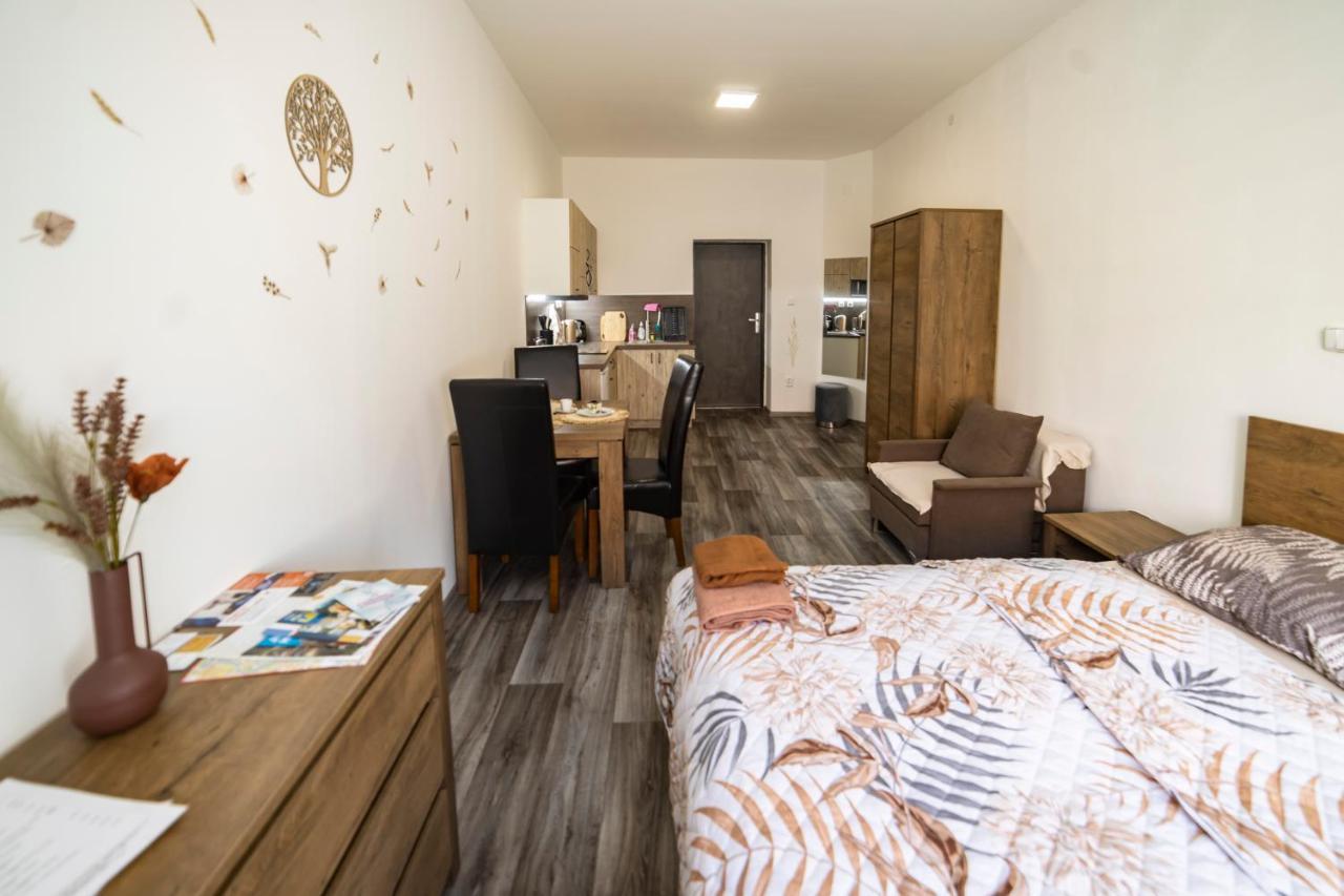 Apartmany Nezarka A Privatni Wellness Jindřichŭv Hradec Eksteriør billede