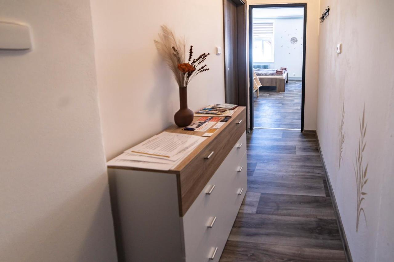 Apartmany Nezarka A Privatni Wellness Jindřichŭv Hradec Eksteriør billede