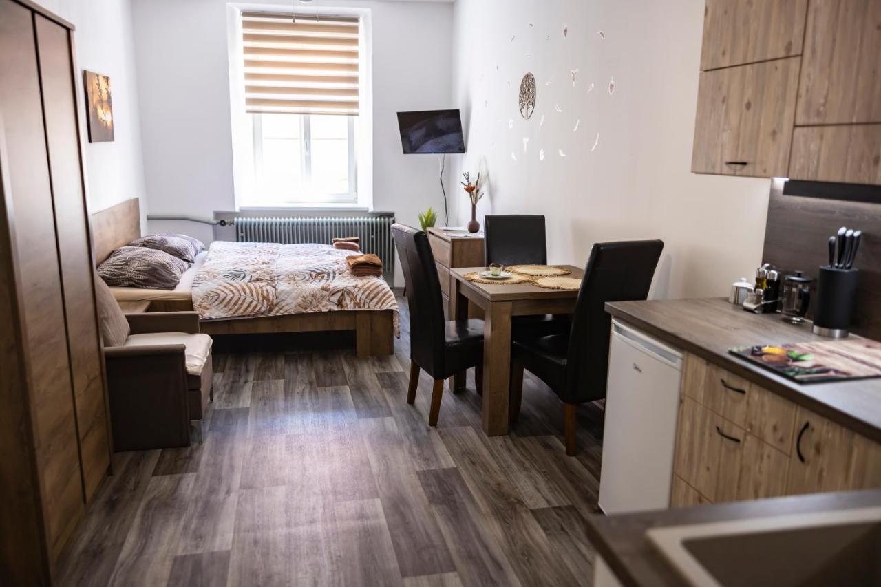 Apartmany Nezarka A Privatni Wellness Jindřichŭv Hradec Eksteriør billede