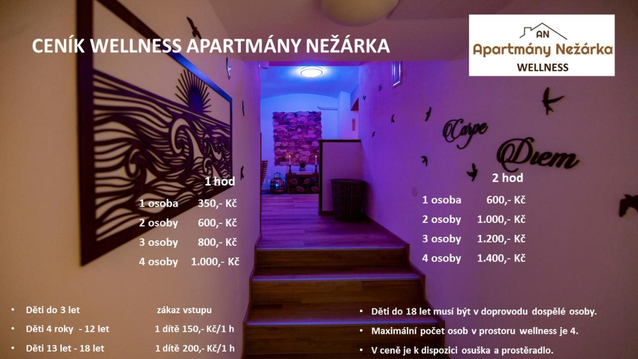 Apartmany Nezarka A Privatni Wellness Jindřichŭv Hradec Eksteriør billede